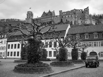 Schloss Heidelberg