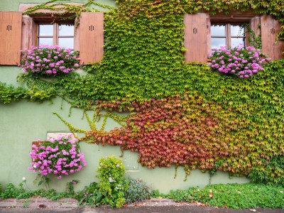 Herbst