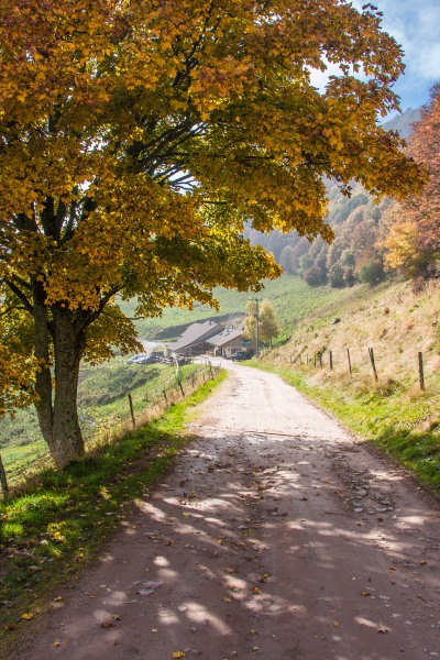 Ferme Auberge