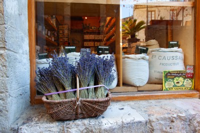 Lavendel
