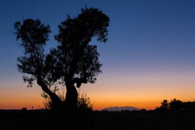 Sonnenuntergang Afytos