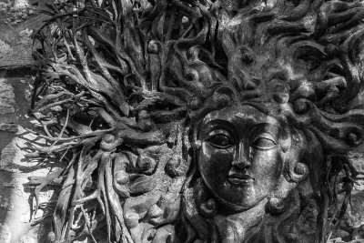 Medusa Afytos