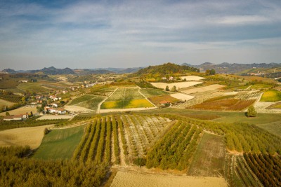 Landschaft