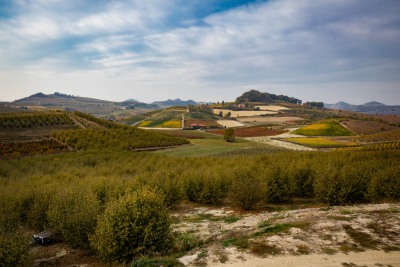 Landschaft