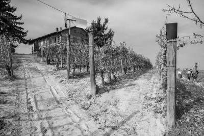 Weinberg