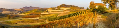 Weinberge