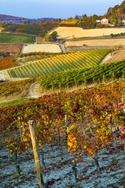 Herbst im Piemont