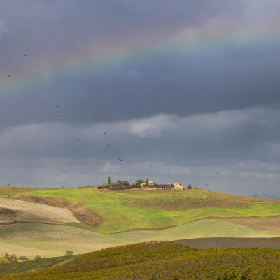 Regenbogen