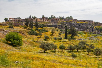 Umm Qais