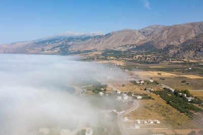 The Fog