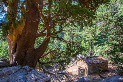 Samaria Schlucht