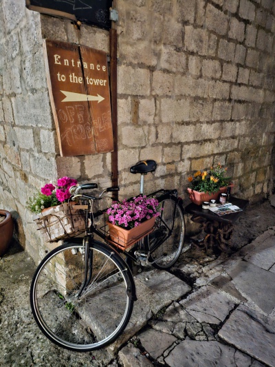 Blumenbike