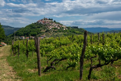 Motovun