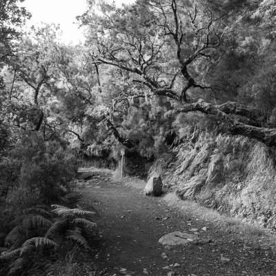 Der Weg