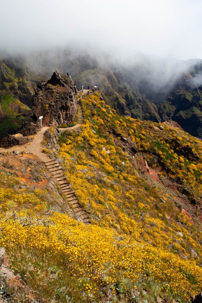 pico de ruivo
