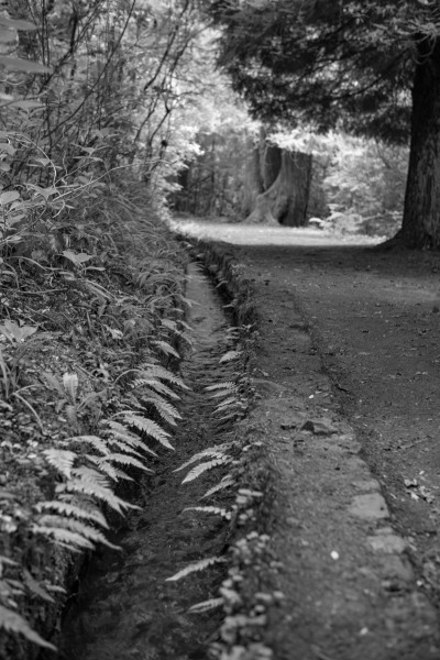 Levada