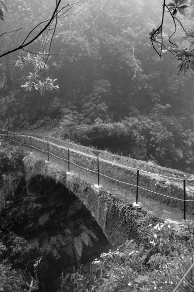Brücke