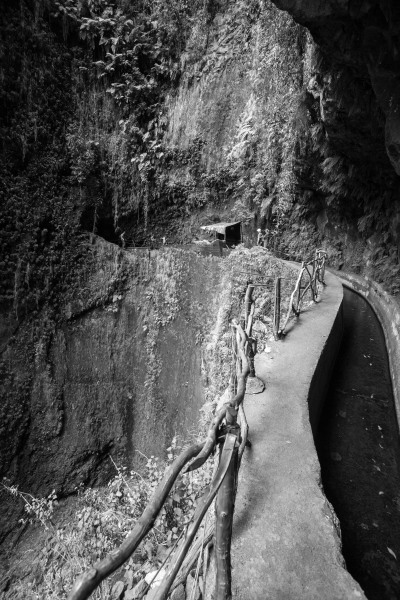 Levada