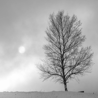 Black Sun
