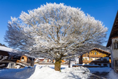 Wintertag
