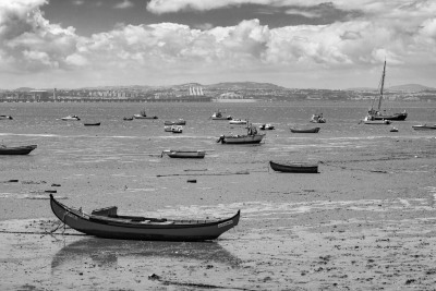 Tejo Ebbe