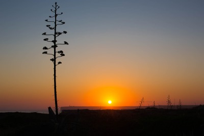 CaboSaoVicente