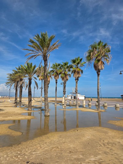 Stadtstrand