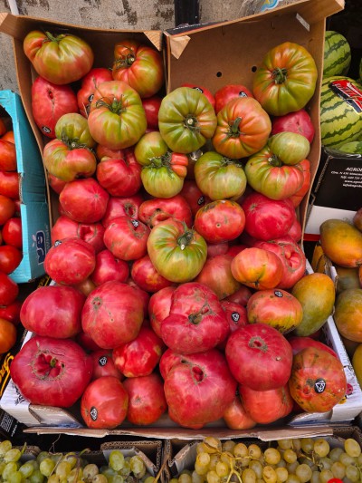 Tomatos