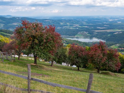 Stubenbergsee