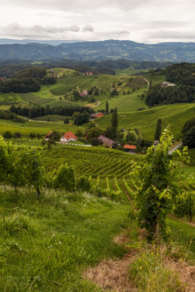 Weinland