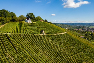 Grafenberg