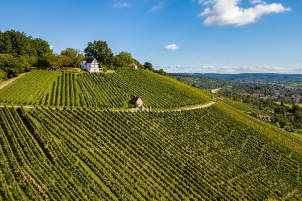 Grafenberg